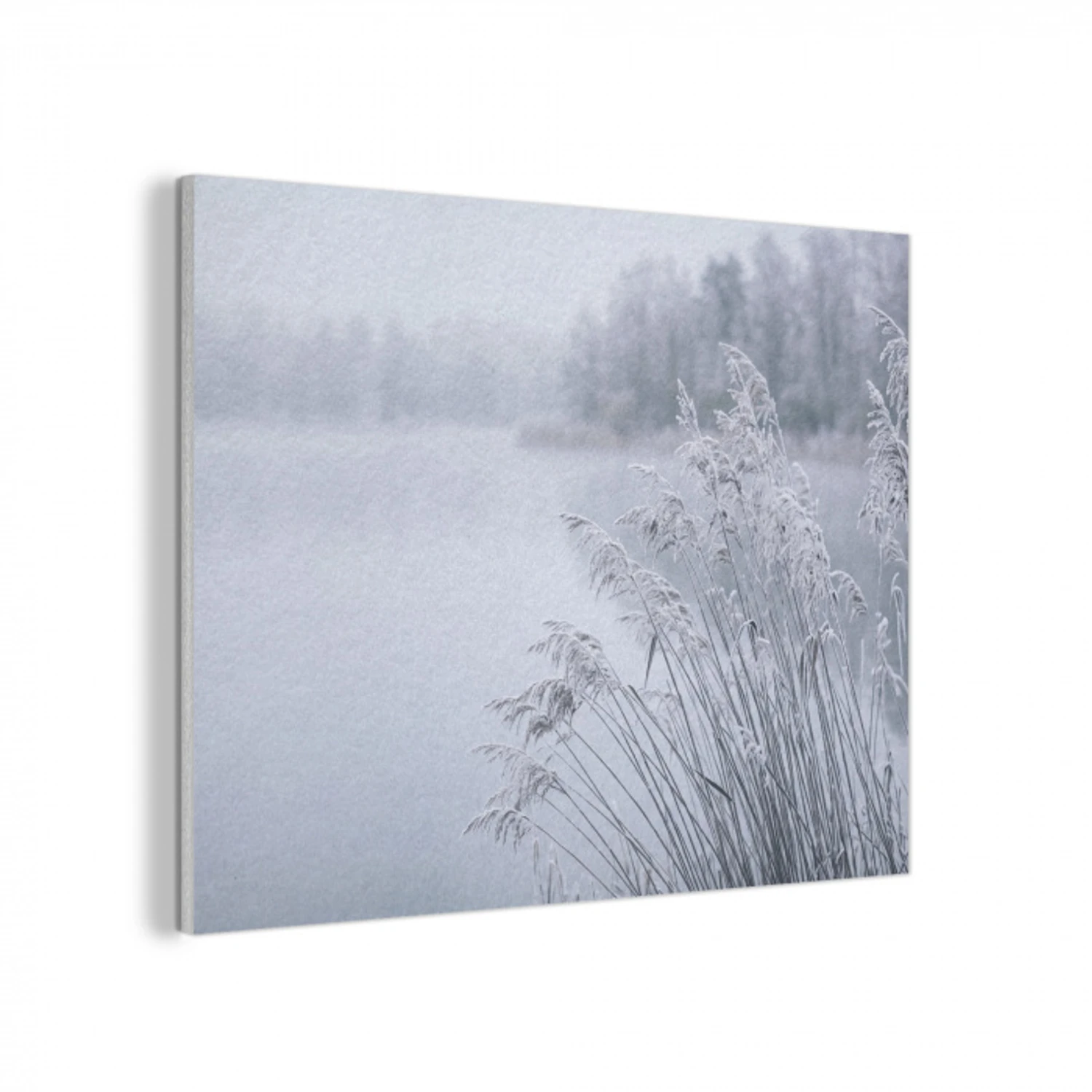 Riet - Bevroren - Winter - Natuur PET vilt klein -3d