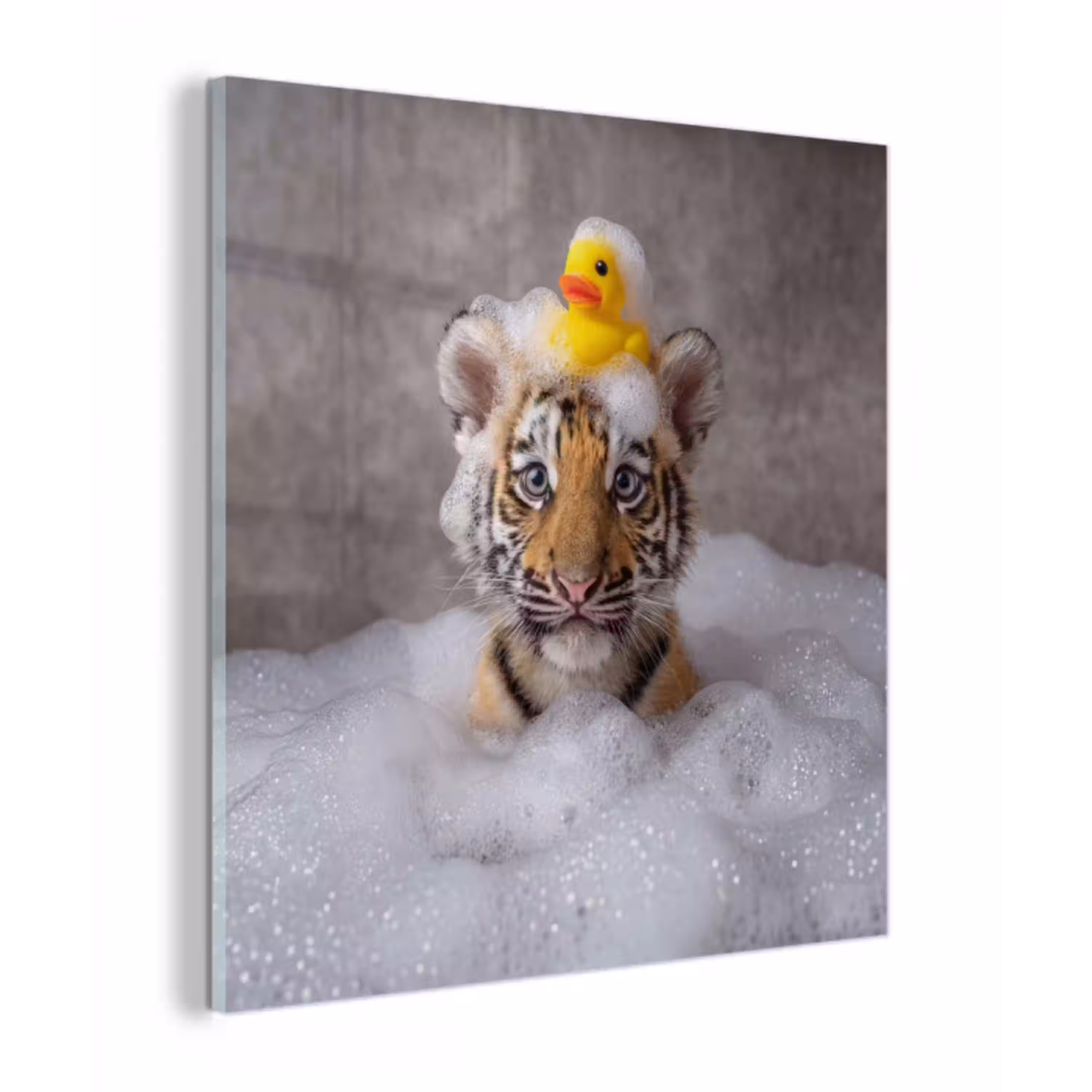 Welpje - Bad - Geel plexiglas 5mm klein -z3d