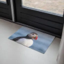 Papegaaiduiker - Portret - Natuur Deurmat klein -sfeer2