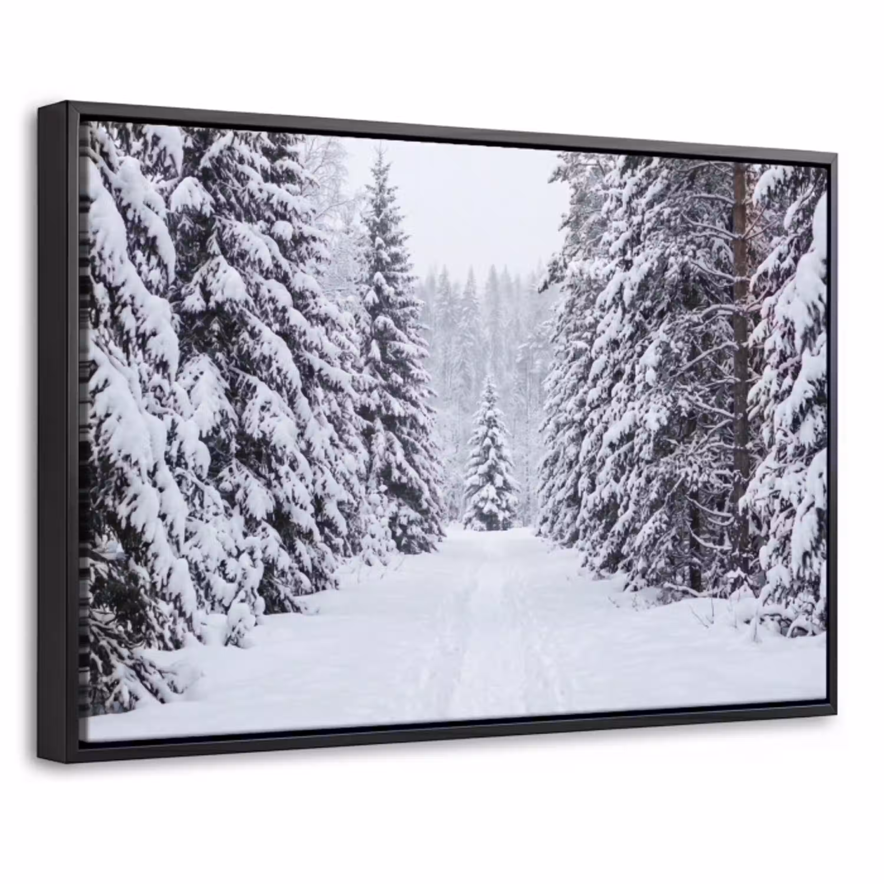 Bos - Winter - Sneeuw - Pad - Natuur Canvas met baklijst klein -threedimensional_3d_global