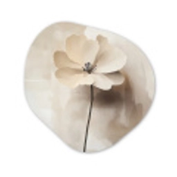 Bloem - Beige - Verf - Schaduw Wandcirkel Organisch Plexiglas middel -3d