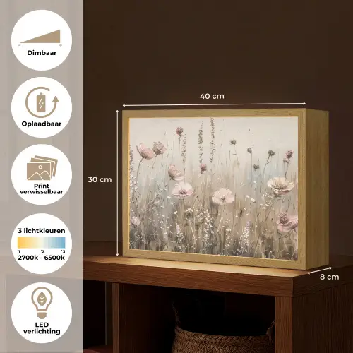 Bloemen - Roze - Modern - Beige Light Box met batterij (Wandlamp) middel -USP_websiteoverzichtNL