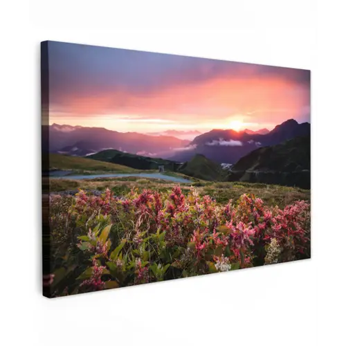Bloemen - Bergen - Landschap - Nacht - Lucht - Roze canvas 2cm klein -z3d