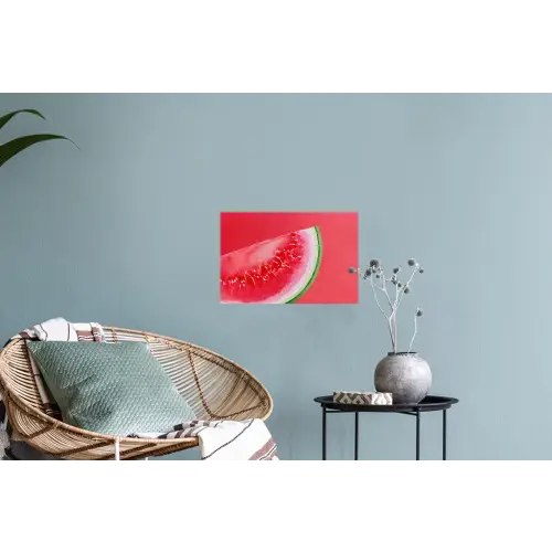 Watermeloen - Rood - Zomers Muursticker klein -plant