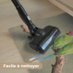 Papagaai - Tak - Natuur - Kleurrijk Deurmat klein -reinigen_FR