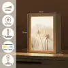 Bloemen - Beige - Natuur Light Box met kabel (Tafellamp) klein -USP_NL