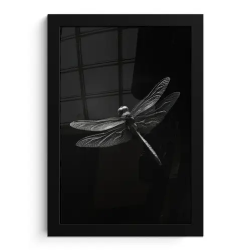 Libelle - Dieren - Zwart - Insect fotolijst zwart zonder passe partout klein -3d