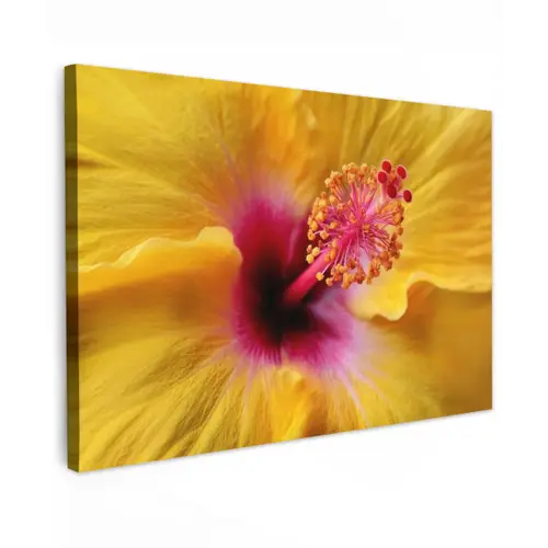 Geel - Hibiscus - Tropisch canvas 2cm klein -z3d