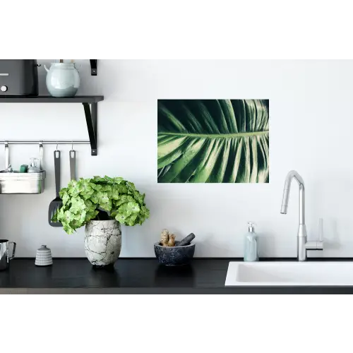 Inductie beschermer - Bananenblad - Tropisch - Jungle - Bladeren Muursticker klein -keuken