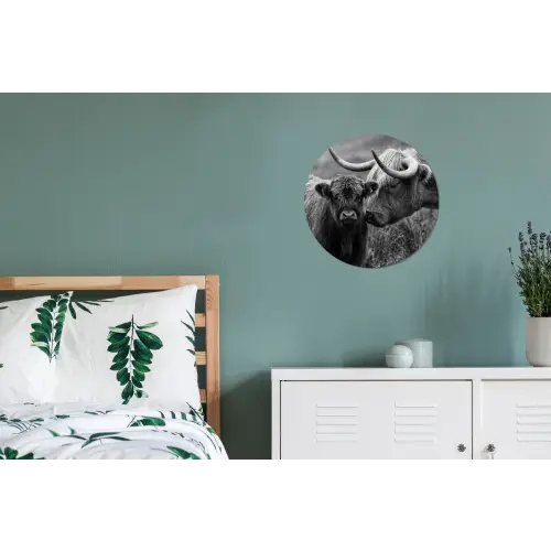Schotse hooglander - Kalf - Zwart - Wit Wandcirkel aluminium klein -slaapkamer
