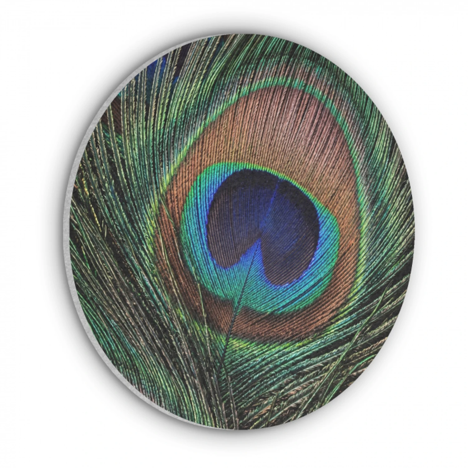 Pauwenveren - Klassiek - Groen Akoestische PET Vilt - Rond klein -3d