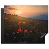 Bloemenveld - Gras - Bloemen - Planten - Zonsondergang - Oranje Inductie beschermer vinyl 3mm groot -3d
