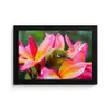 Tropische vogel tussen roze bloem fotolijst zwart zonder passe partout klein -3d