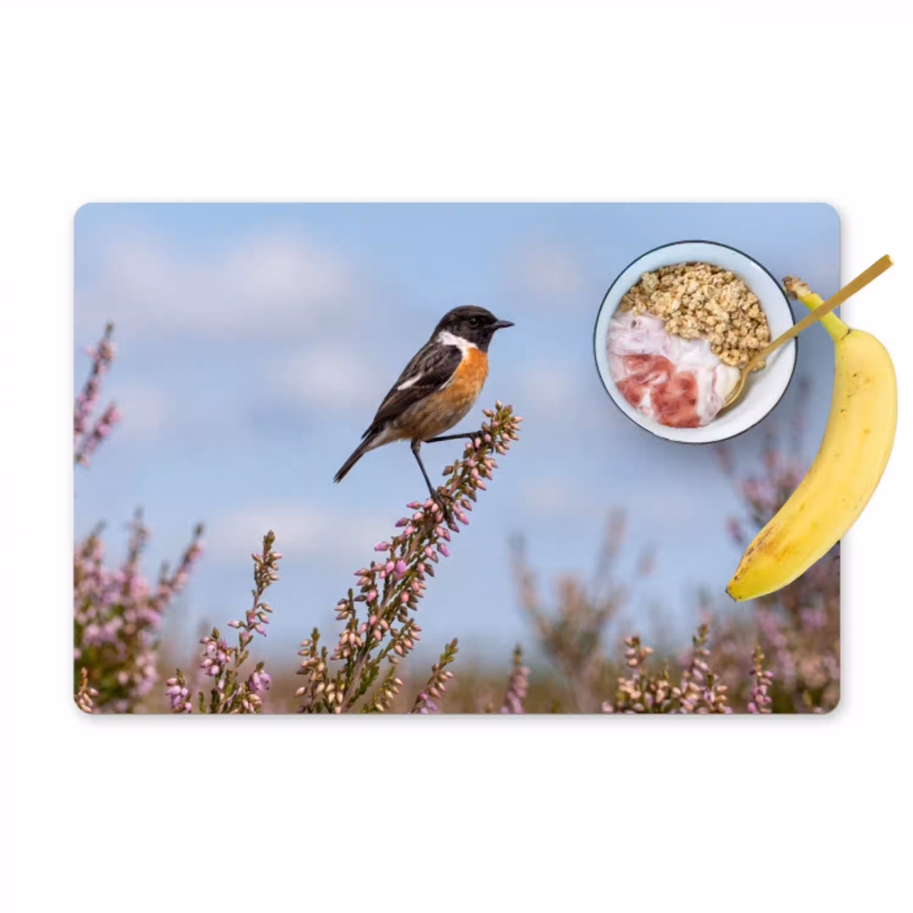 Roodborsttapuit - Heide - Paars - Natuur - Sfeervol Placemat vinyl groot -zzzproduct_Kitchenyeah-website