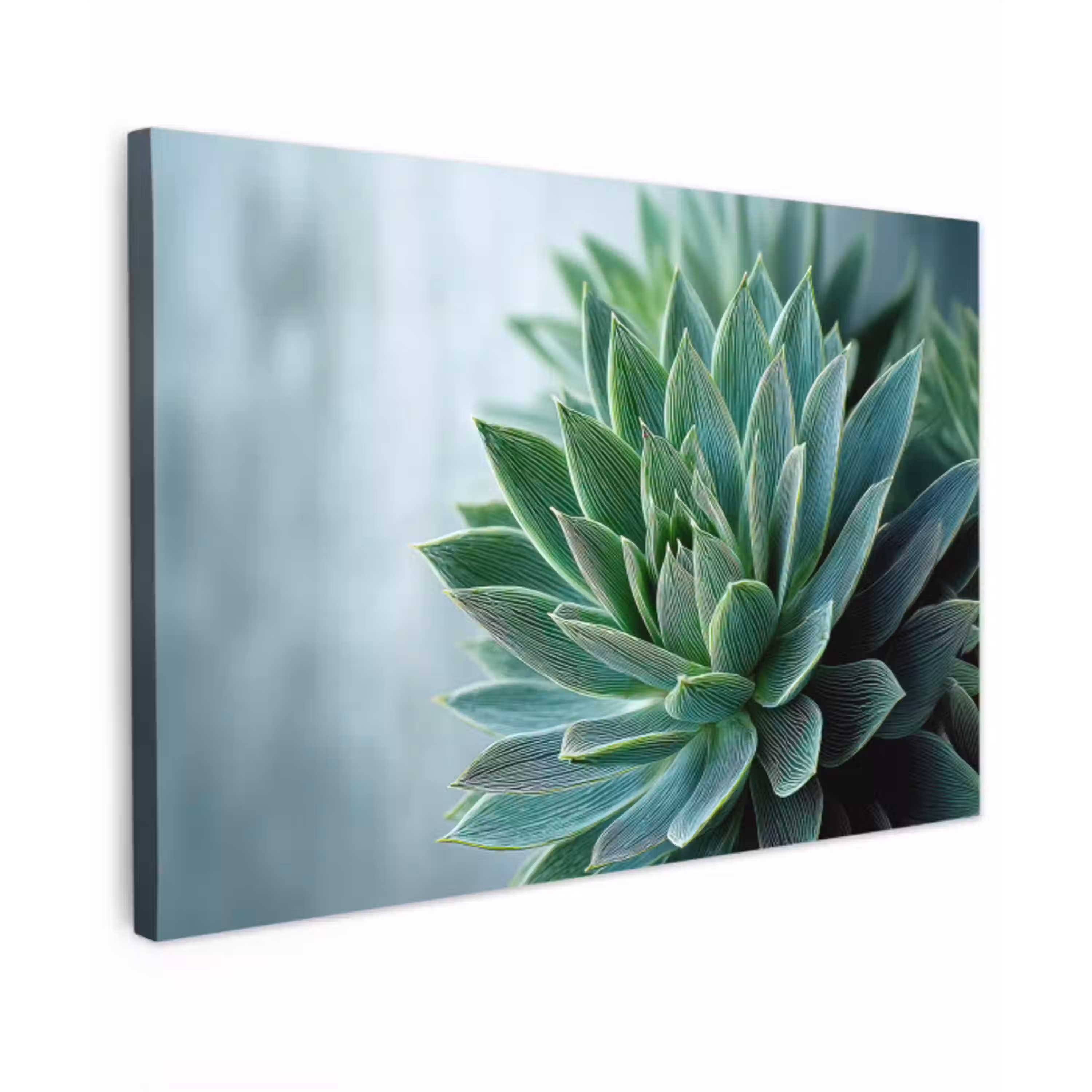 Vetplant - Bladeren - Groen - Wazig canvas 2cm klein -z3d