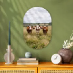 Koeien - Portret - Weide - Boerderij - Nieuwsgierig Wandcirkel Ovaal Forex klein -sfeer2