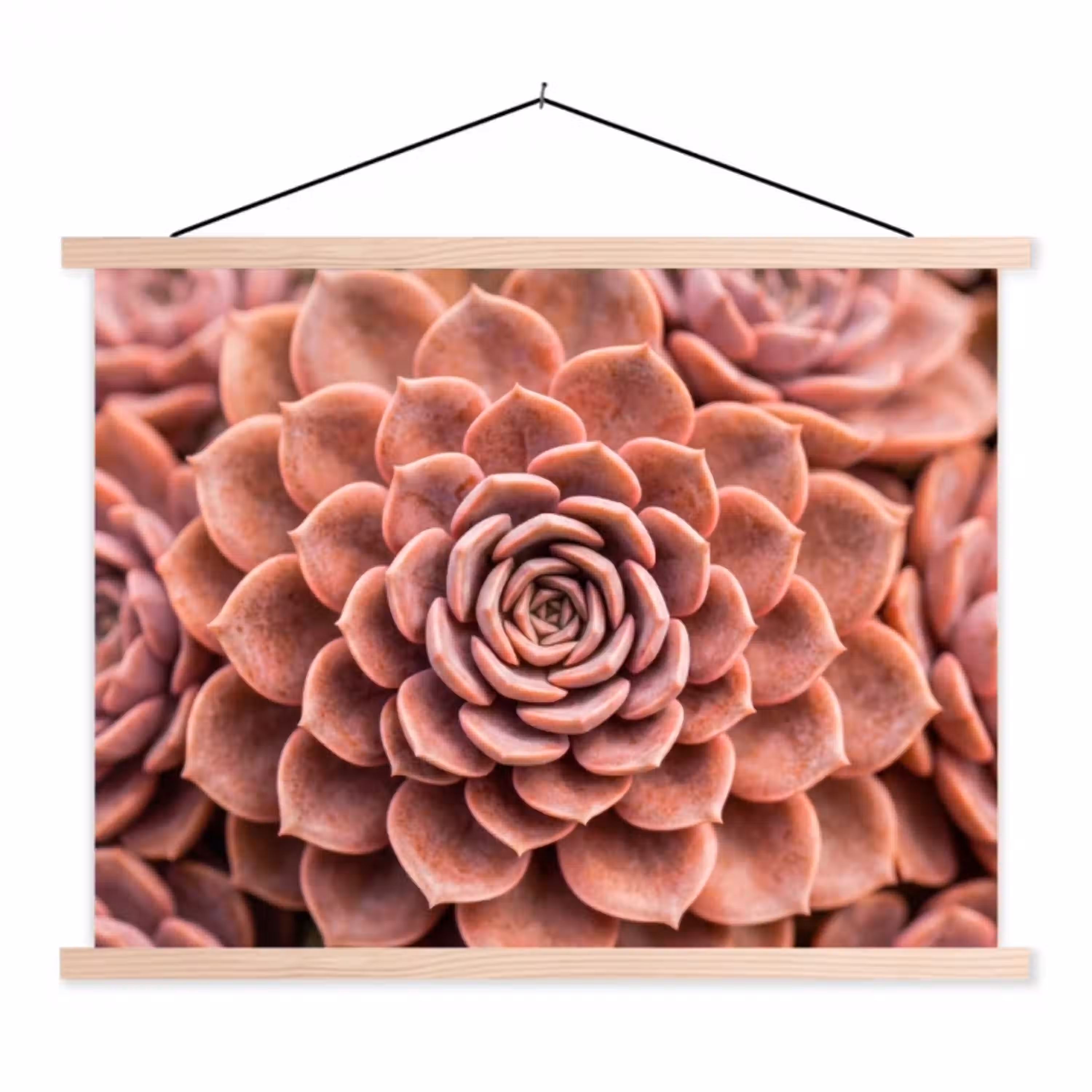 Vetplant - Organisch - Roze textielposter latten blank klein -3d