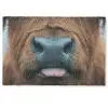 Schotse hooglander - Neus - Bruin Deurmat klein -zkaufland3d