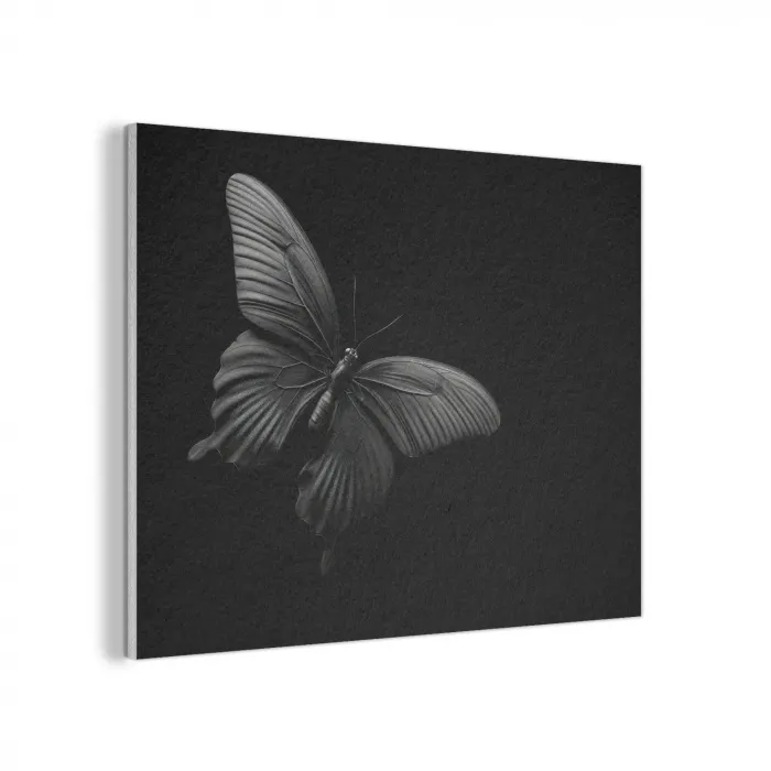 Vlinder - Zwart - Insect - Dieren PET vilt klein -3d