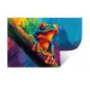 Kikker - Felgekleurd - Tak - Regenboog Muursticker klein -3d