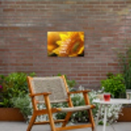 Zonnebloem - Close up - Geel - Quote Tuinposter op houten frame 2 cm dik klein -sfeer3