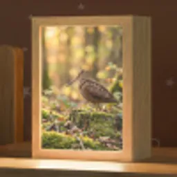 Houtsnip - Bos - Bladeren - Herfst - Gecamoufleerd Light Box met kabel (Kinderlampje) klein -zzz_3d_website