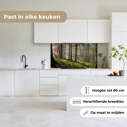 Zon - Takken - Bomen - Bos - Natuur keuken achterwand 2 middel -sfeer4_NL