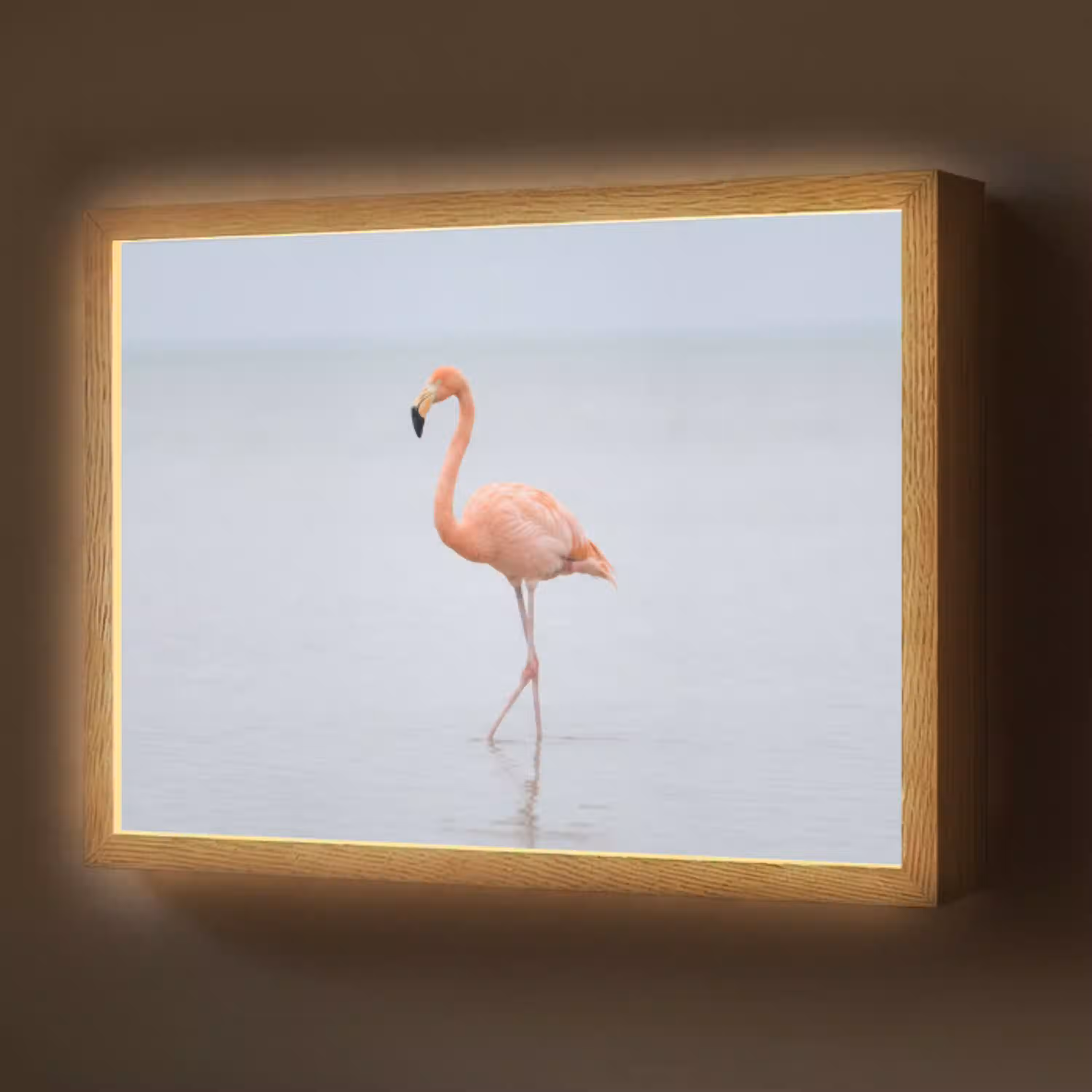 Flamingo - Zee - Roze Light Box met batterij (Wandlamp) middel -z3d_website