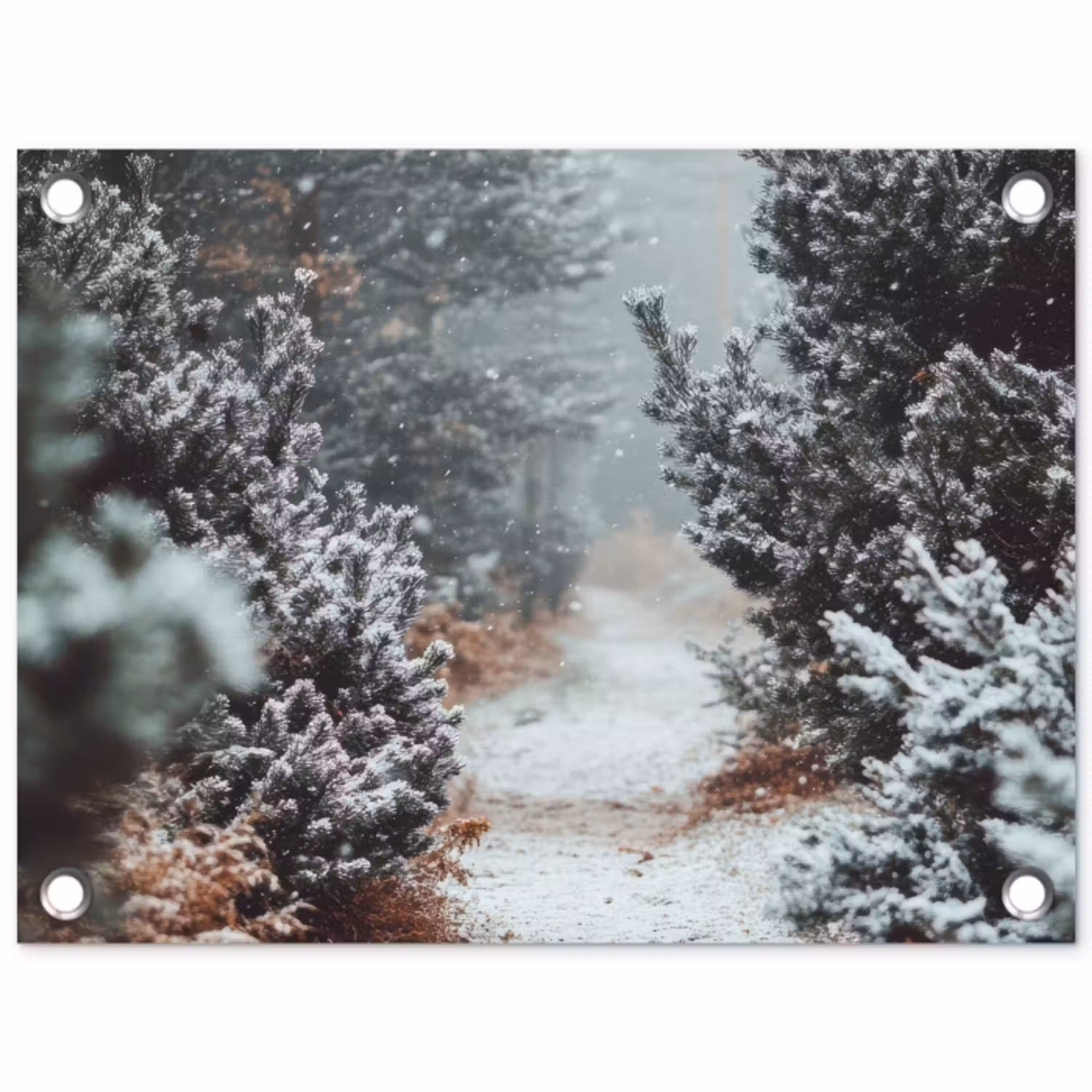 Bos - Winter - Bomen - Natuur - Pad - Sneeuw tuinposter los doek klein -3d