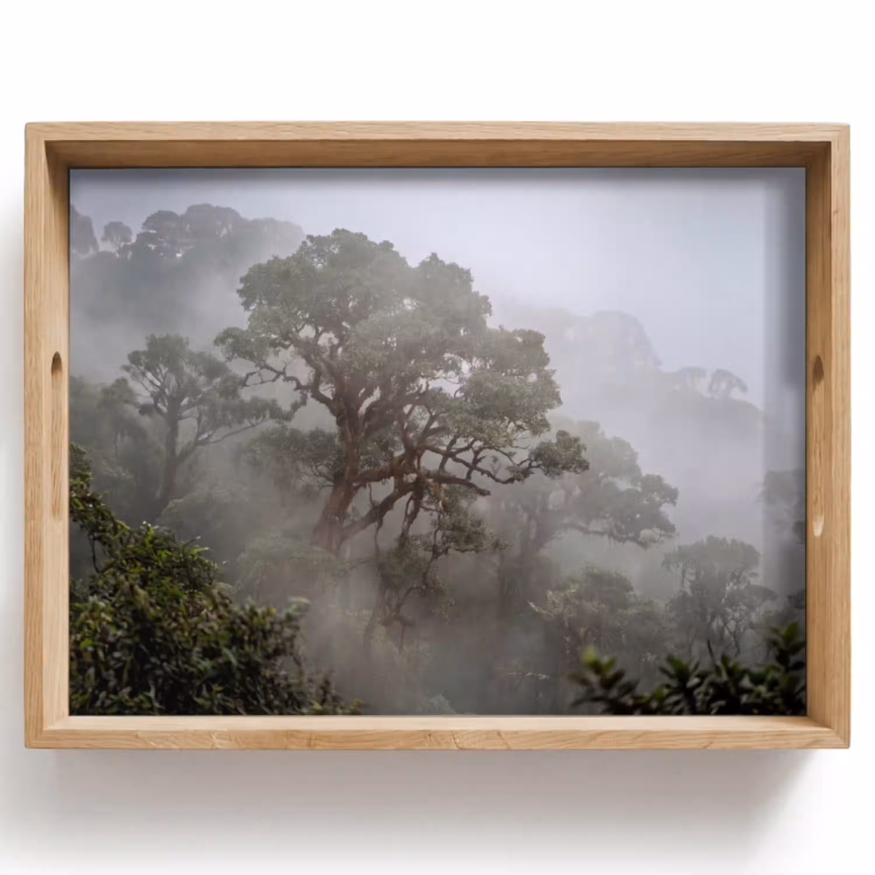 Boom - Mistig - Bos - Groen - Natuur Dienblad Rechthoek middel -z3d_shopping