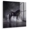 Paard - Magisch - Zwart plexiglas 5mm klein -zzzproduct_nieuw