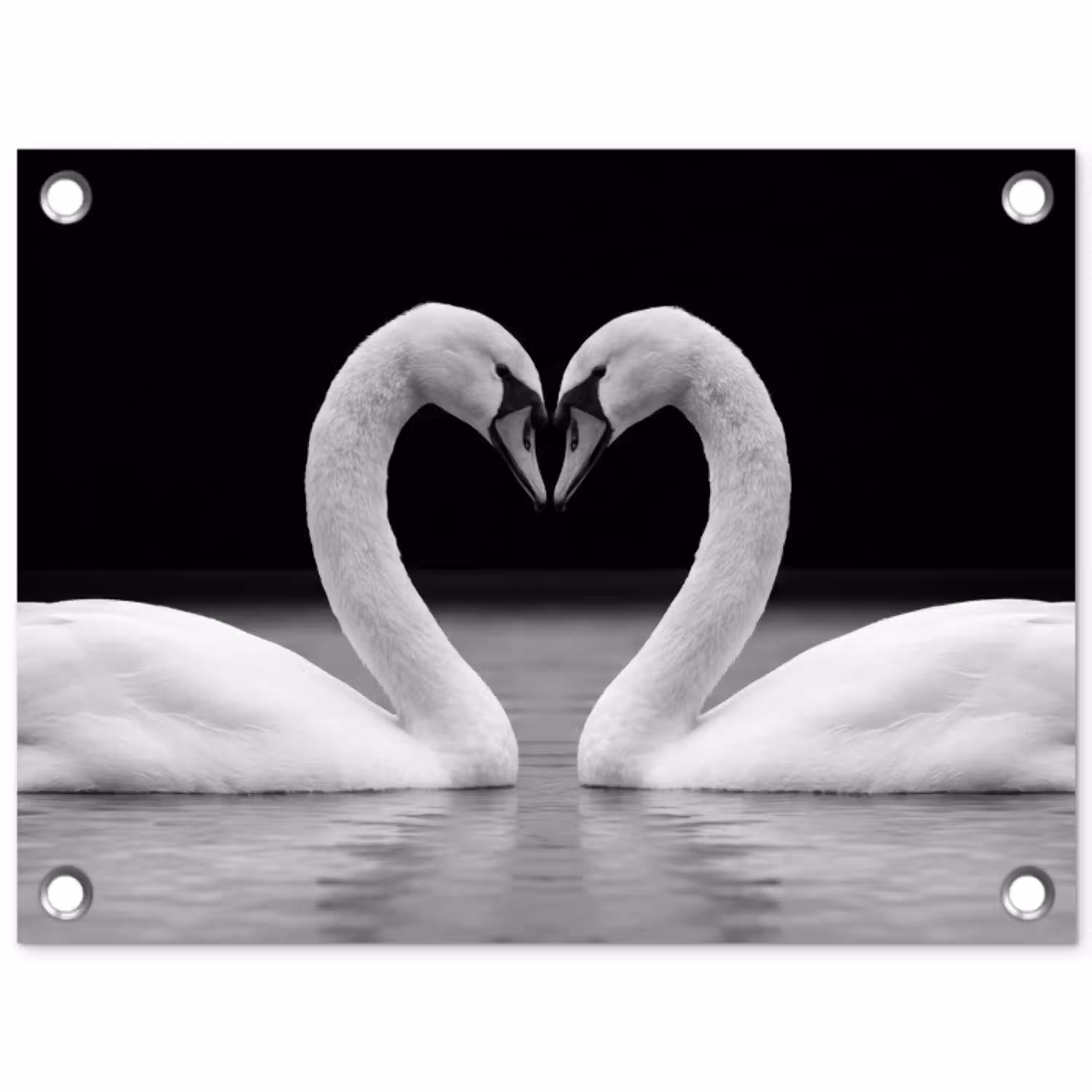 Zwanen - Hart - Zwart - Wit tuinposter los doek klein -3d
