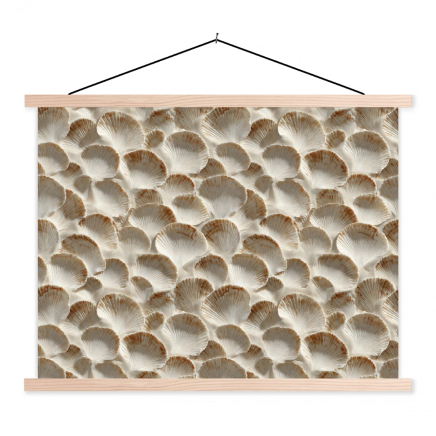 Schelpen - Waaiervorm - Wit textielposter latten blank klein 122 -3d