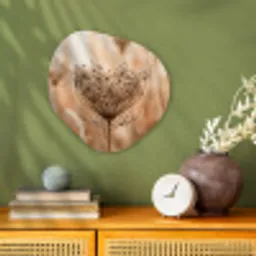 Schermbloem - Droogbloem - Winter - Beige - Minimalistisch Wandcirkel Organisch Forex 3mm klein -sfeer2