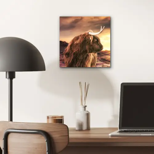 Schotse hooglander - Zon - Horizon - Koe - Dieren aluminium wit klein -sfeer5