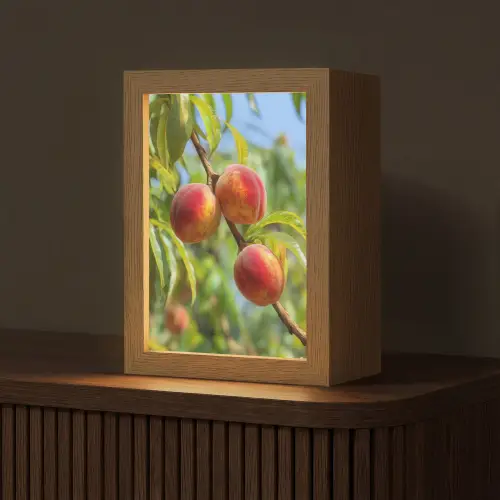 Perzik - Bladeren - Zonlicht Light Box met kabel (Tafellamp) klein -z3d_website