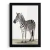 Zebra - Meisjes - Dieren - Kinderen - Jongens fotolijst zwart zonder passe partout klein -3d