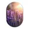 Lavendelbloemen - Paars - Zonlicht Wandcirkel Ovaal Glas middel -3d