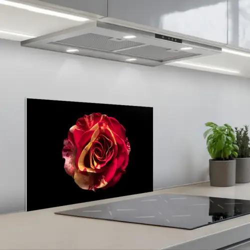 Bloem - Roos - Rood - Zwart keuken achterwand spatscherm klein -3d_schuin