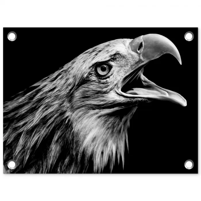 Adelaar - Portret - Roofvogels - Zwart - Wit - Vogel tuinposter los doek klein -3d