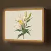 Lelie - Elegant - Botanisch - Beige Light Box met batterij (Wandlamp) middel -z3d_website