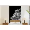 Leeuw tegen zwarte achtergrond in zwart-wit fotobehang vinyl groot -bed