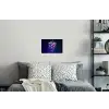 Paars - Disco - Feest - Druif Muursticker klein -slaapkamer