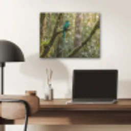 Quetzal - Jungle - Natuur - Groen PET vilt klein -sfeer5