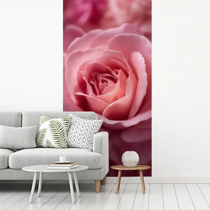 Roze - Roos - Romantisch fotobehang vinyl groot -woonkamer