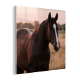 Paard - Zonsondergang - Bruin plexiglas 5mm klein -z3d