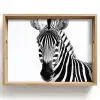 Zebra - Close-up - Zwart - Strepen Dienblad Rechthoek middel -z3d_shopping