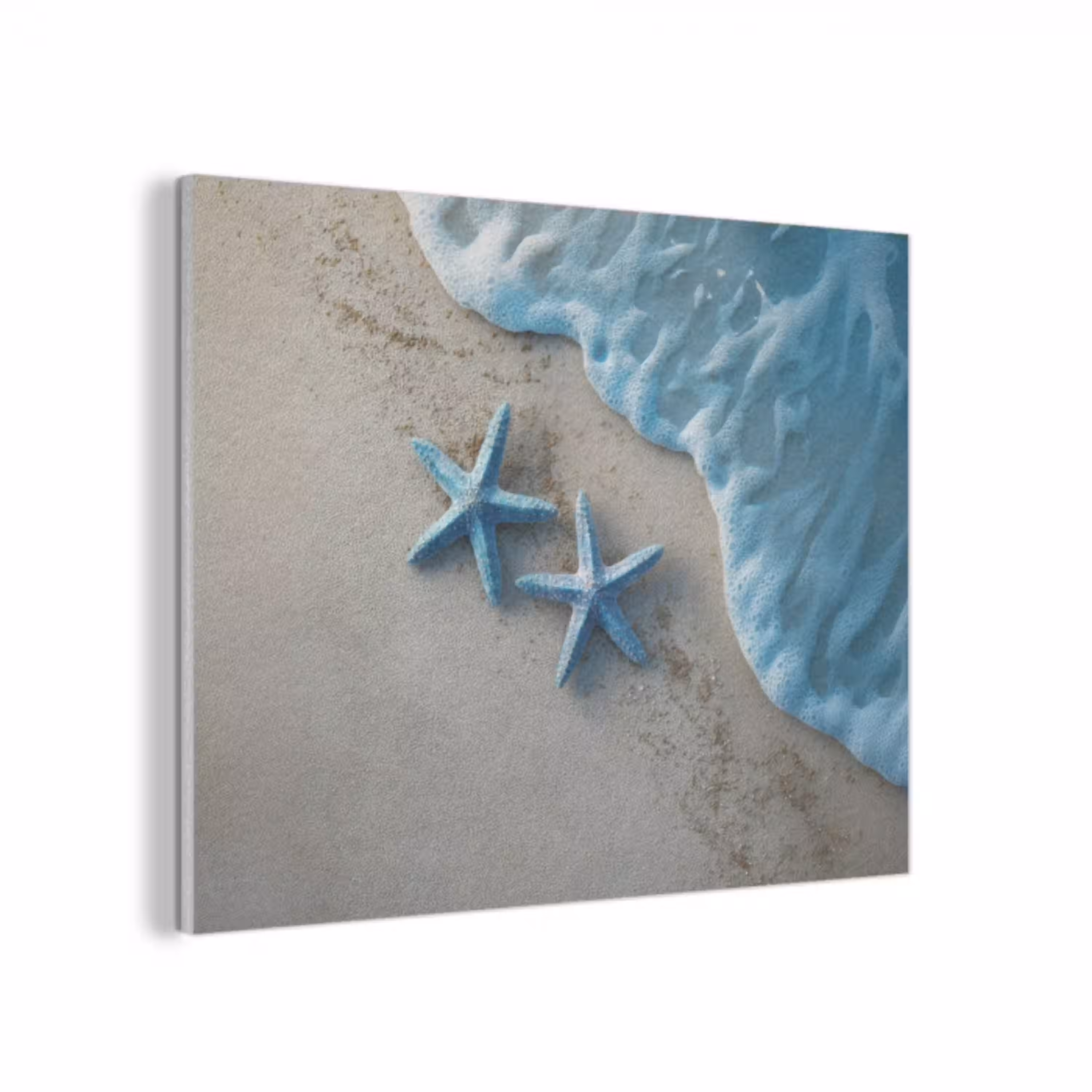 Zeesterren - Zand - Zee - Blauw PET vilt klein -3d