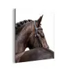 Portret - Paard - Elegant aluminium wit klein -3d