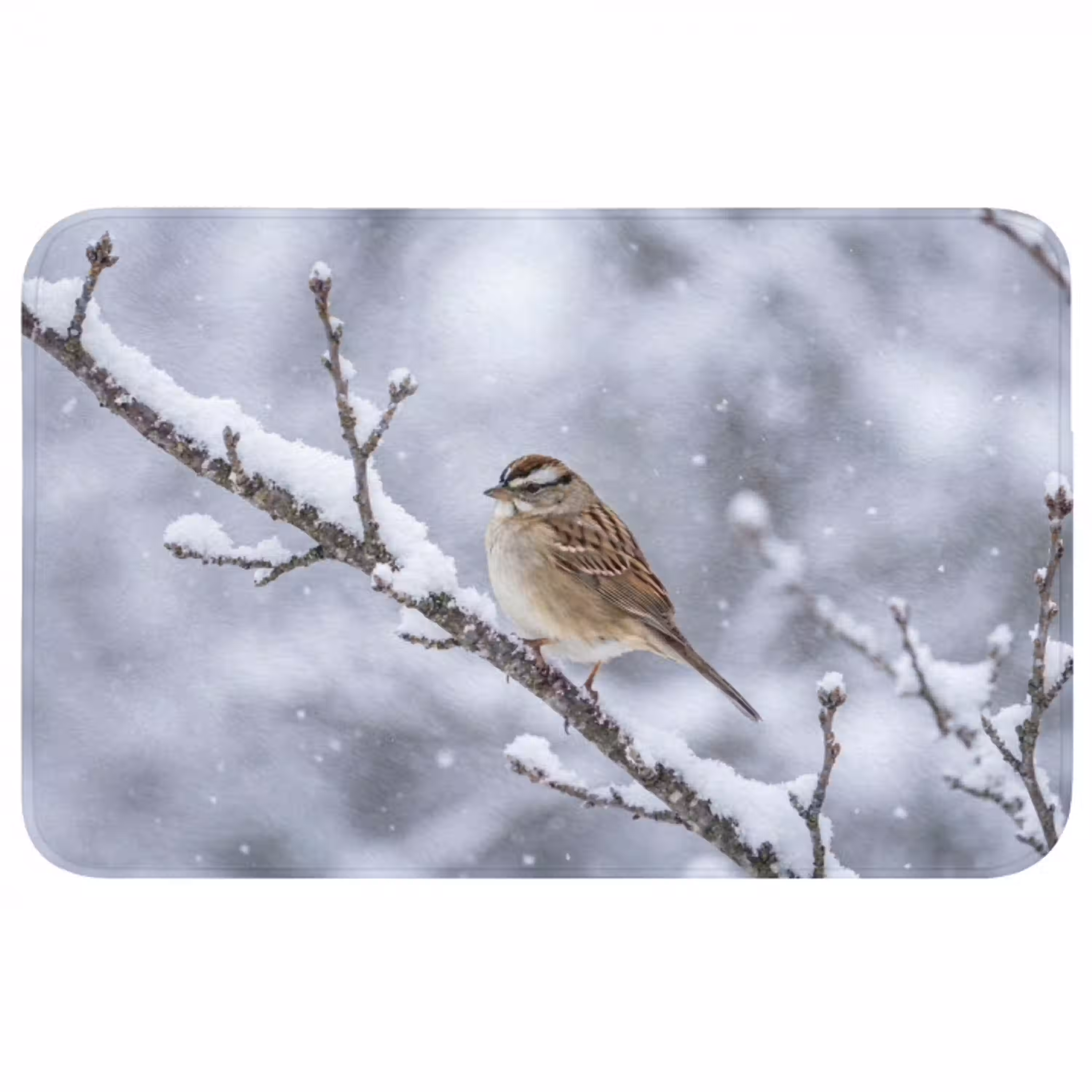 Vogel - Tak - Sneeuw - Winter Badmat middel -3d